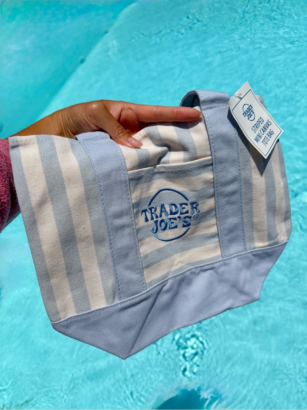 NEW WITH TAGS / SOLD OUT - Trader Joe's Pastel Mini Tote - Light Blue & Cream